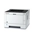 [870B61102RW3NL3] Kyocera ECOSYS P2235dw - Drucker - s/w - Duplex