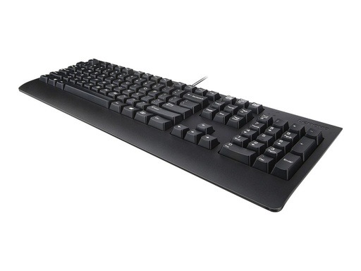 [4X30M86919] Lenovo Preferred Pro II - Tastatur - USB - QWERTY