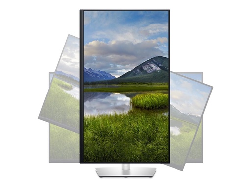 [DELL-P3223DE] Dell P3223DE - LED-Monitor - 80 cm (31.5") -