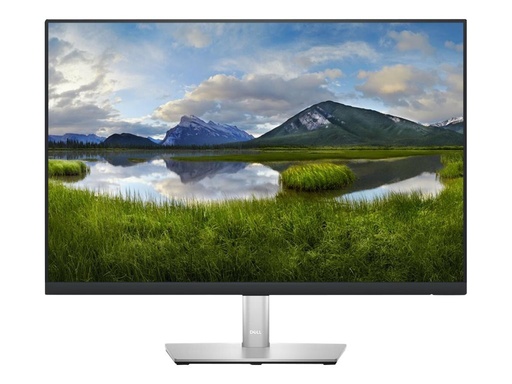 [DELL-P2423] Dell P2423 - LED-Monitor - 61 cm (24") - 1920