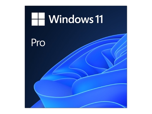 [FQC-10572] Microsoft Windows 11 Pro - Lizenz - 1 Lizenz - ESD - National