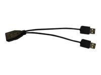 [37966470] Star Micronics Star iOS High Powered Y Cable - USB- / Stromkabel - USB (M)