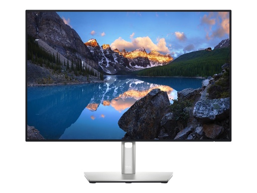 [210-AXMB] Dell UltraSharp U2421E - LED-Monitor - 61.13 cm (24.1")