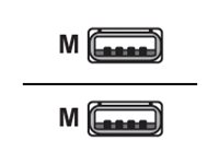 [40CLCBCTRL] Lenovo USB-Kabel - USB (M) zu USB (M) - USB