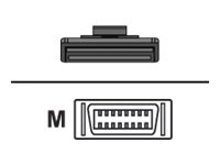 [9-03728-01] Quantum Externes SAS-Kabel - 4-Lane - 4x Shielded Mini MultiLane SAS (SFF-8088)