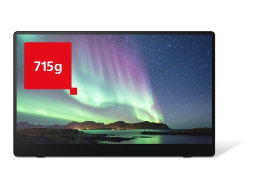 [514910] Fsas Technologies Ricoh 150BW - OLED-Monitor - 39.6 cm (15.6") (16" sichtbar)