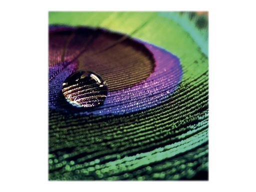 [C13S450377] Epson Production - Polyethylen (PE) - halbglänzend - mikroporös - 200 Mikron - Rolle (91,4 cm x 30 m)