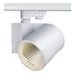 [S21-LED-NB00241] Synergy 21 131764 Weiß Rail lighting spot Geeignet für die Verwendung innen 40 W A+