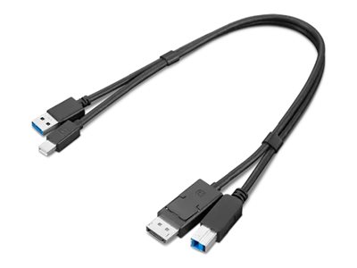 [4X91D11453] Lenovo Dual Head - Display / USB Kabelset - USB Typ A, DisplayPort (M)