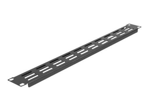 [66679] Delock Rackpaneel - Schwarz - 1U - 48.3 cm (19")