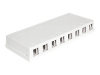 [86209] Delock Keystone Surface Mounted Box - Gehäuse