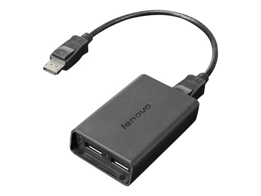 [0B47092] Lenovo DisplayPort-Adapter - DisplayPort (M)