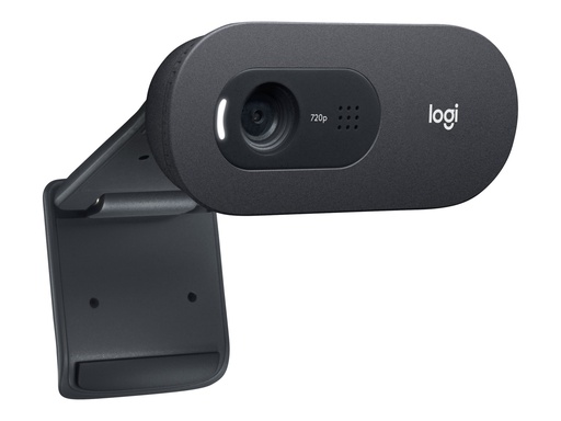 [960-001372] Logitech C505e - Webcam - Farbe - 720p - feste Brennweite
