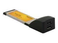 [66202] Delock Express Card to 2x USB 2.0 - USB-Adapter