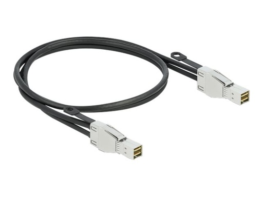 [86622] Delock Externes SAS-Kabel - SAS 32Gbit/s - Mini SAS HD (SFF-8674)