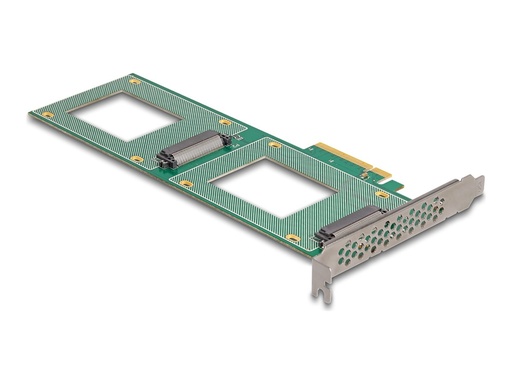[90151] Delock Speicher-Controller - Gabelung, 236