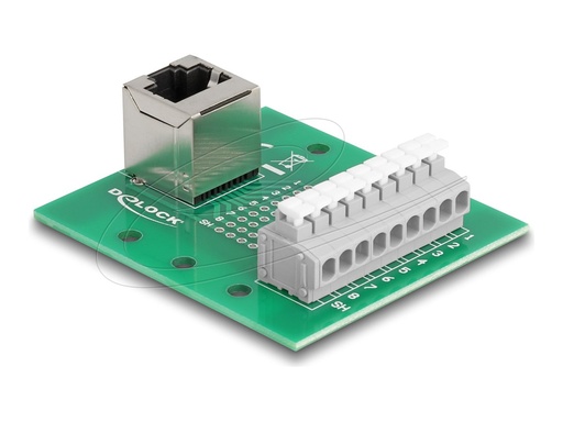 [66993] Delock Netzwerkadapter - RJ-45 (W) gewinkelt zu 9-poliger Anschlussblock