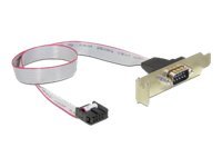 [89300] Delock Slot Bracket > 1 x Serial - Serielles Bedienfeld - DB-9 (M)