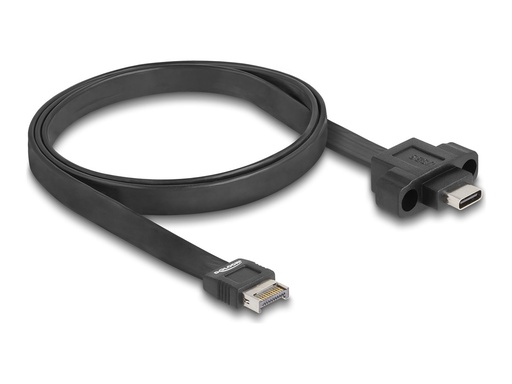 [85760] Delock USB-Kabel - 20-polig USB Typ E (M)