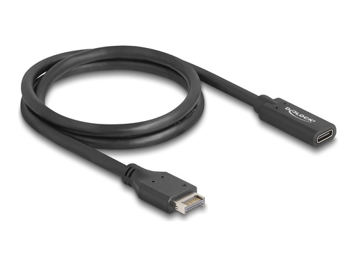 [85666] Delock USB-Kabel - 20-polig USB Typ E (M)