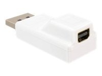 [65240] Delock DisplayPort-Adapter - DisplayPort (M)