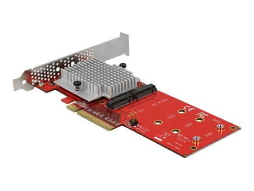 [90305] Delock PCI Express Card > 2 x internal M.2 - Schnittstellenadapter