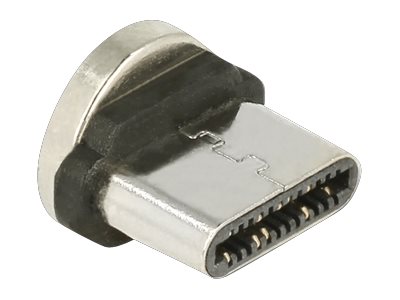 [65933] Delock Magnetic - USB-Anschluss - USB-C (M)