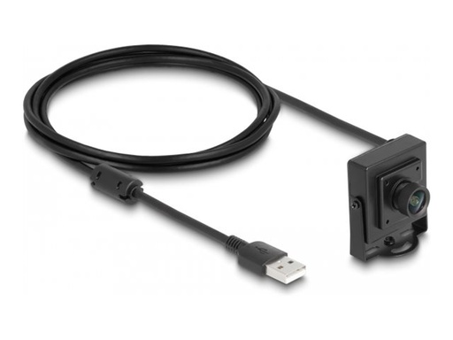 [96403] Delock Webcam - Farbe - 2,1 MP - 1920 x 1080