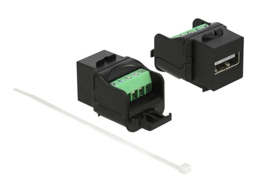 [86386] Delock Modulare Eingabe - USB 2.0 Type A