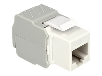 [86341] Delock Modulare Eingabe - CAT 6 - UTP - RJ-45