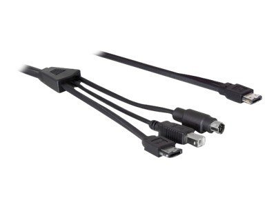 [84430] Delock Power Over eSATA cable - Power Over eSATA-Kabel - PS/2, USB Typ B, eSATA zu 11-poliger USB/eSATA (5/12V)