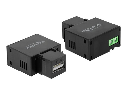[86505] Delock Modulare Eingabe - USB-Ladefunktion