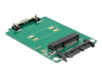 [62520] Delock Converter Micro SATA 16 Pin > mSATA full
