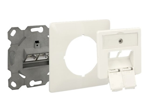 [86195] Delock Modular Wall Outlet flush mount 2 Port