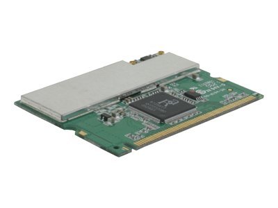 [95800] Delock WLAN MiniPCI - Netzwerkadapter - Mini