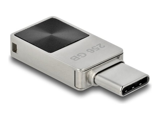[54009] Delock USB-Flash-Laufwerk - 256 GB - USB-C