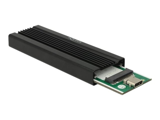 [42600] Delock Speichergehäuse - M.2 Card - USB 3.1 (Gen 2)