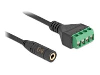[66295] Delock Audio-Adapter - Mini-Stecker (W) zu