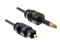 [82876] Delock Digitales Audio-Kabel (optisch) - TOSLINK