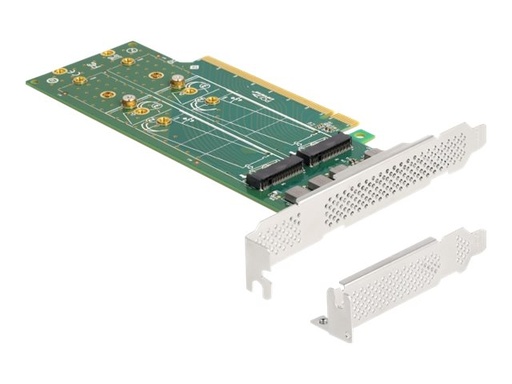 [90090] Delock Speicher-Controller - Bifurcation, 110