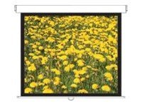 [DS-3120PMG+] Optoma Panoview Pull Down Manual DS-3120PMG+ - Leinwand - Deckenmontage möglich, geeignet für Wandmontage - 305 cm (120")