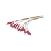 [S215478V2] Synergy 21 LWL-Pigtail-LC 50/125u 2mtr. OM4 12-Pack farbig - Kabel - 2 m (S215478V2)