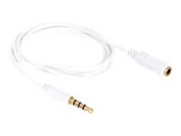 [84480] Delock Audiokabel - mini-phone stereo 3.5 mm