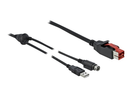 [85941] Delock Powered USB-Kabel - USB PlusPower (24 V)