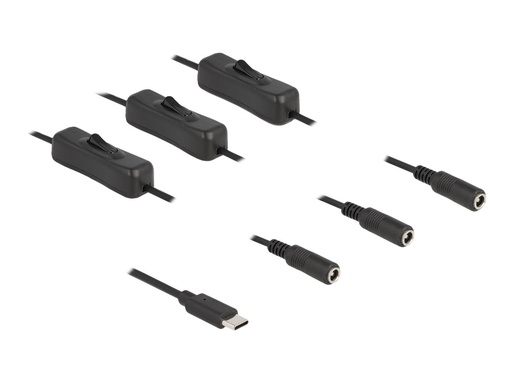 [86801] Delock Netz-Splitter - 24 pin USB-C (M) zu Gleichstromstecker 5,5 x 2,1 mm (W)