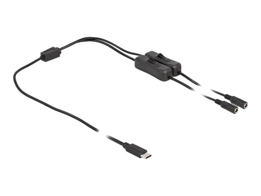 [86800] Delock Netz-Splitter - 24 pin USB-C (M) zu Gleichstromstecker 5,5 x 2,1 mm (W)