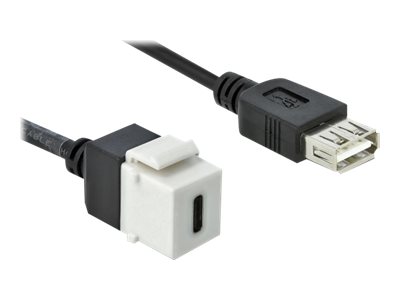 [86391] Delock Modulare Eingabe - USB Typ C - weiß