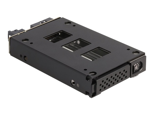 [47005] Delock Mobiles Speicher-Rack - schmaler Schacht