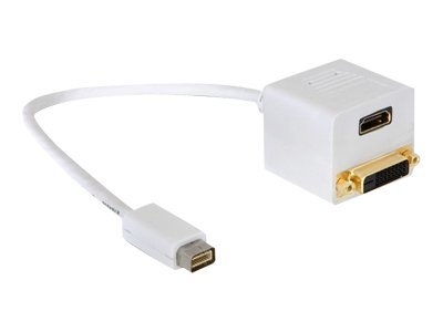 [65070] Delock Videoadapter - Mini-DVI männlich zu