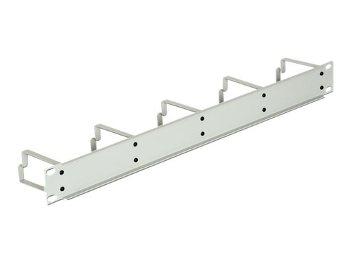 [42116] Delock Kabelmanagement - Hellgrau, RAL 7035 - 1U - 48.3 cm (19")